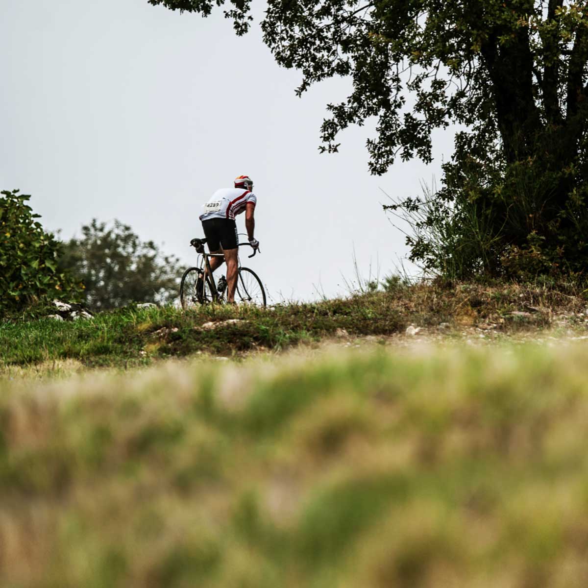 Eroica
